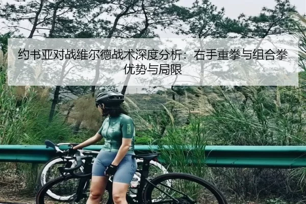 约书亚对战维尔德战术深度分析：右手重拳与组合拳优势与局限